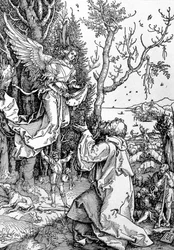 Joachim i Anioł z cyklu „Życie Dziewicy”, wyd. 1511 (drzewryt)