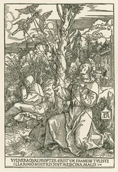 Święty Franciszek otrzymujący stygmaty, ok. 1503-04 (drzeworyt)