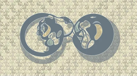Streszczenie: „Feline Infinity”