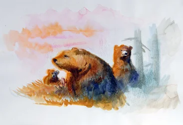 Naturalna rodzina niedźwiedzi Ilustracja: Alessandro Lonati