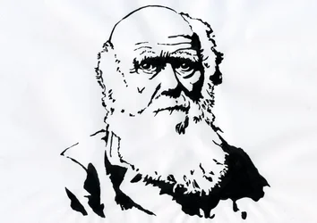 Portret Karola Darwina - Portret angielskiego przyrodnika Karola Darwina (1809-1882) Ilustracja