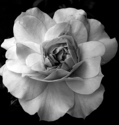 Obiekt,2019,(fotografia)