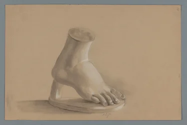 Model gipsowy stopy