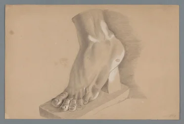 Model gipsowy stopy