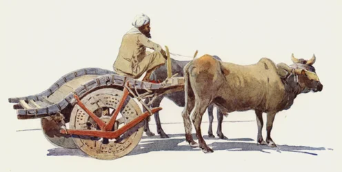 Wóz Bullock, Jodhpur