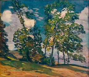 Wietrzny dzień, ok. 1906 r.
