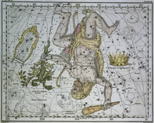 Herkules, z „Atlasu niebieskiego”, wyd. w 1822