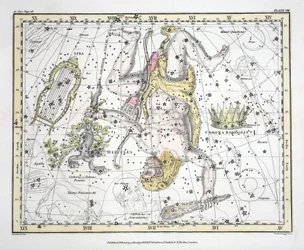 Konstelacje (tabl. VIII) Corona Borealis, Herkules i Cerber, Lyra, z „Atlasu niebieskiego” Aleksandra Jamiesona, wyd. Londyn 1822 (ręcznie kolorowane grawerowanie)