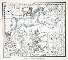 Konstelacje (tabl. XXV) Wielki Psy, Psy Mniejsze, Jednorożce, Statek Argo, l