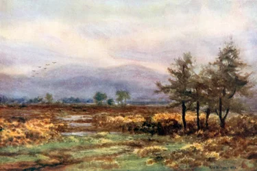 W pobliżu Abbeyleix, Queen