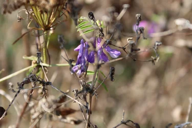Zmieniające się pory roku