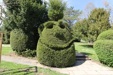 śmiejące się drzewo