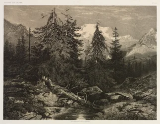Strumień Alpejski.