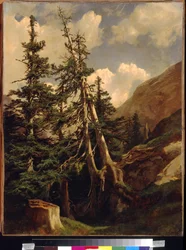Jodły w górach autorstwa Calame, Alexandre (1810-1864). Olej na płótnie, Wymiar : 68,5x53. Państwowe Muzeum Sztuk Pięknych im. A. Puszkina, Moskwa