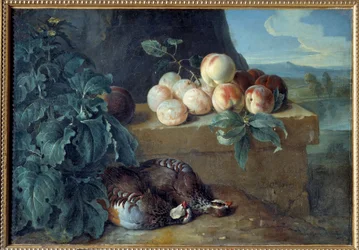 Brzoskwinie i kuropatwy. Obraz Francois Desportes (1661-1743)