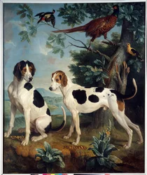 Pompee i Florissant, psy Ludwika XIV (1638-1715). Obraz François Desportesa (1661-1743)