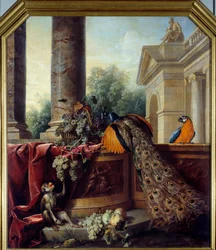 Martwa natura z pawiem, papugą, małpą i kiściami winogron. XVIII wiek. 2,05 x 1,8 m, Lyon, Musée des Beaux-Arts