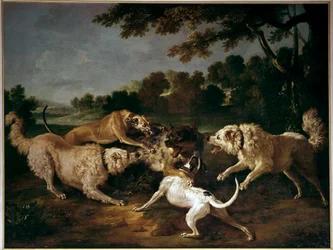 Polowanie na wilka, obraz François Desportesa (1661-1743)