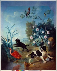 Zerbine i Jemite, psy króla Ludwika XIV, obraz François Desportesa (1661-1743), 1739, Compiègne, Musée national du château