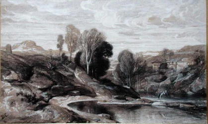Czapla (bistre i pranie na papierze)