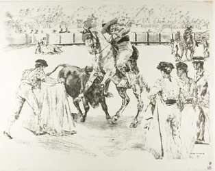 Walka byków