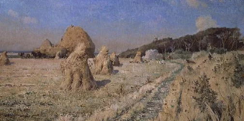 Kukurydza na polu