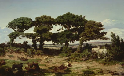 Dęby Kertregonnec, ok. 1869-70