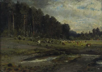 Wyspa Ełcka i Sokolniki, 1869.