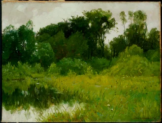 Po deszczu, nad zatoką Minnehaha