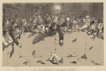 Na Rożnie, Aleja Kwakrów