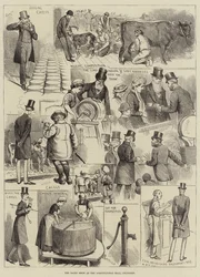 Pokaz mleczarski w Hali Rolniczej w Islington