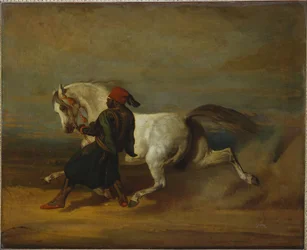 Duma paszy