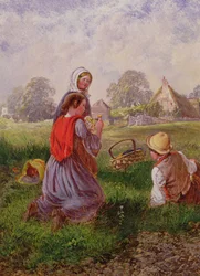 Zbieranie kwiatów