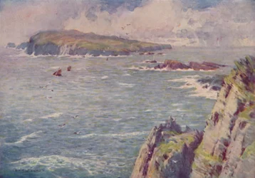 Cielę człowieka, 1910