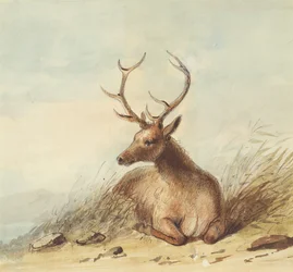 Ełk, Góry Skaliste, ok. 1837 (ołówek, pióro i atrament oraz akwarela na papierze)
