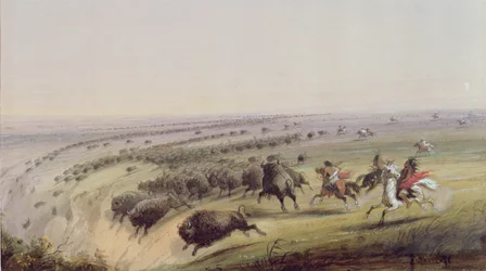 Polowanie na bizony, 1837