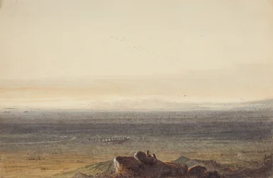 Prairie, ok. 1837 (ołówek, akwarela i gwasz na papierze)