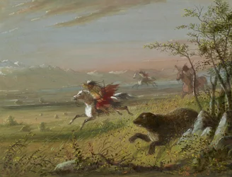 Niedźwiedź grizzly