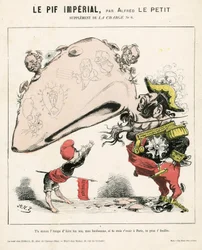 Szarża (1870), nr 6, Kolor satyryczny
