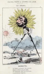 Le Soleil (słonecznik): karykatura na Gambetta (1838 - 1882) - il. z 12.01.1871 w „Kwiaty, owoce i warzywa dnia”