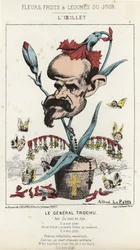 Goździk: rysunek przedstawiający generała Louisa Julesa Trochu (1815 - 1896) - il. z 11.01.1871 w „Kwiaty, owoce i warzywa dnia”