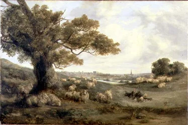 Widok Norwich