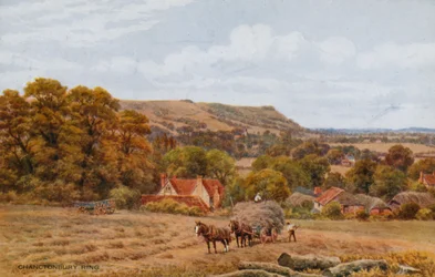 Chanctonbury Ring w pobliżu Worthing