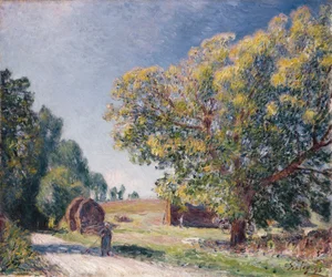Polana w lesie, 1895