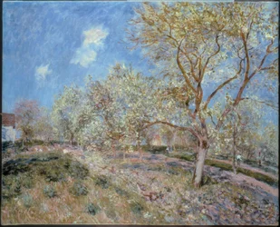 Wiosna w Veneux