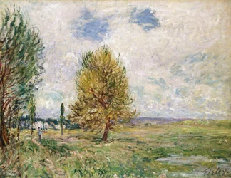 Równina Veneux-Nadon, 1881