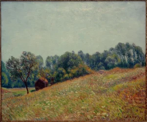 Dolina