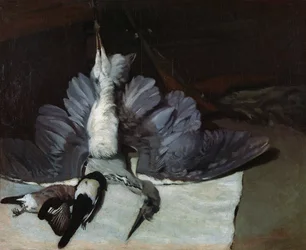 Martwa natura: czapla z rozpostartymi skrzydłami