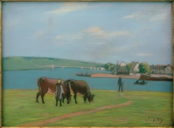Krowy nad brzegiem Sekwany w Saint-Mammès