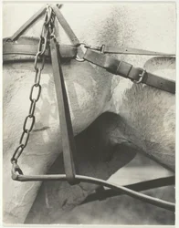 Odpowiednik, Duchowa Ameryka, 1923.